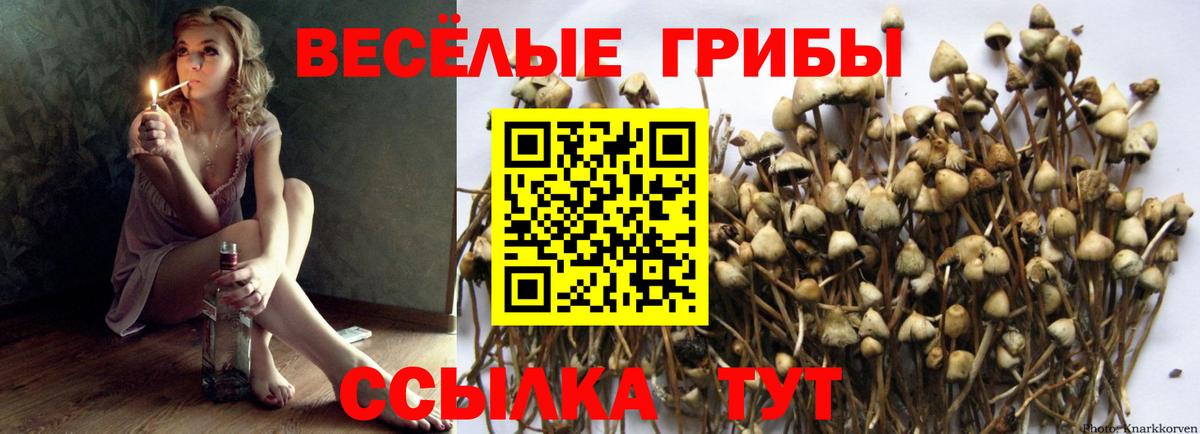 Галлюциногенные грибы Magic Shrooms  Вход с VPN  Симферополь 